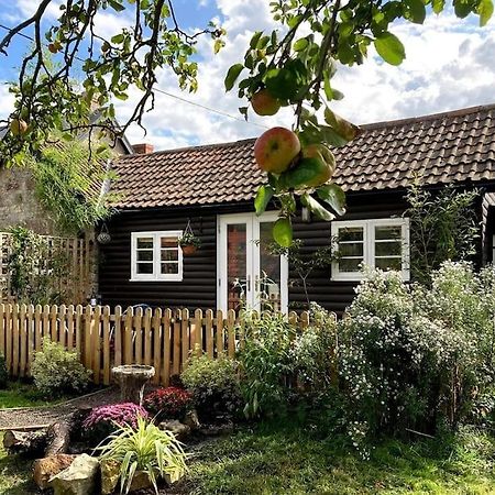 Cosy Studio Retreat In Wells, Somerset 외부 사진